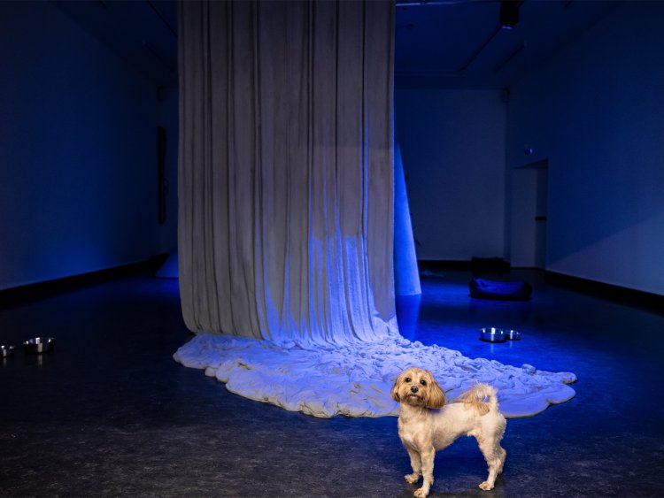  &copy;Thor Brødreskift / Bergen Kunsthall